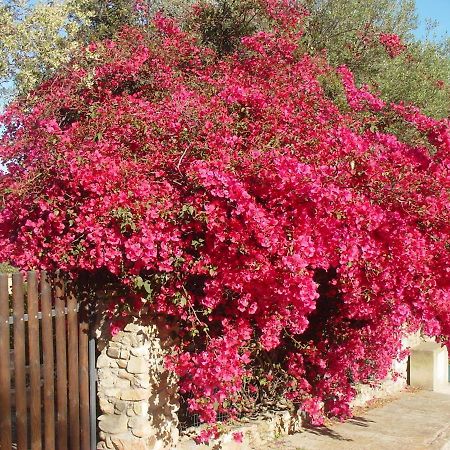 Casa A 300Mt.Dal Mare Calasinzias, 6 Letti, Ac, Pets Welcome, Wi-Fi Free Cala Sinzias 외부 사진