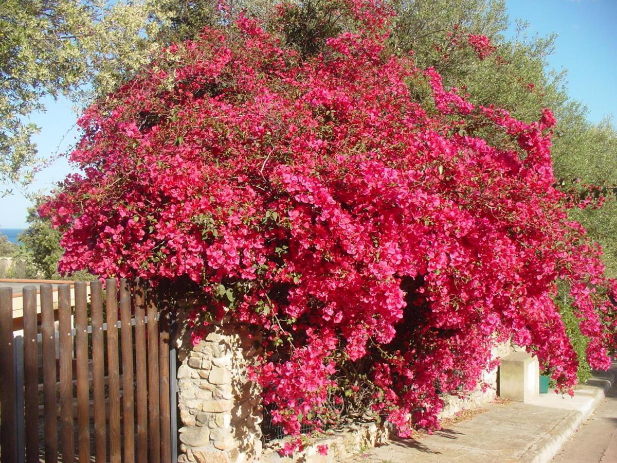 Casa A 300Mt.Dal Mare Calasinzias, 6 Letti, Ac, Pets Welcome, Wi-Fi Free Cala Sinzias 외부 사진