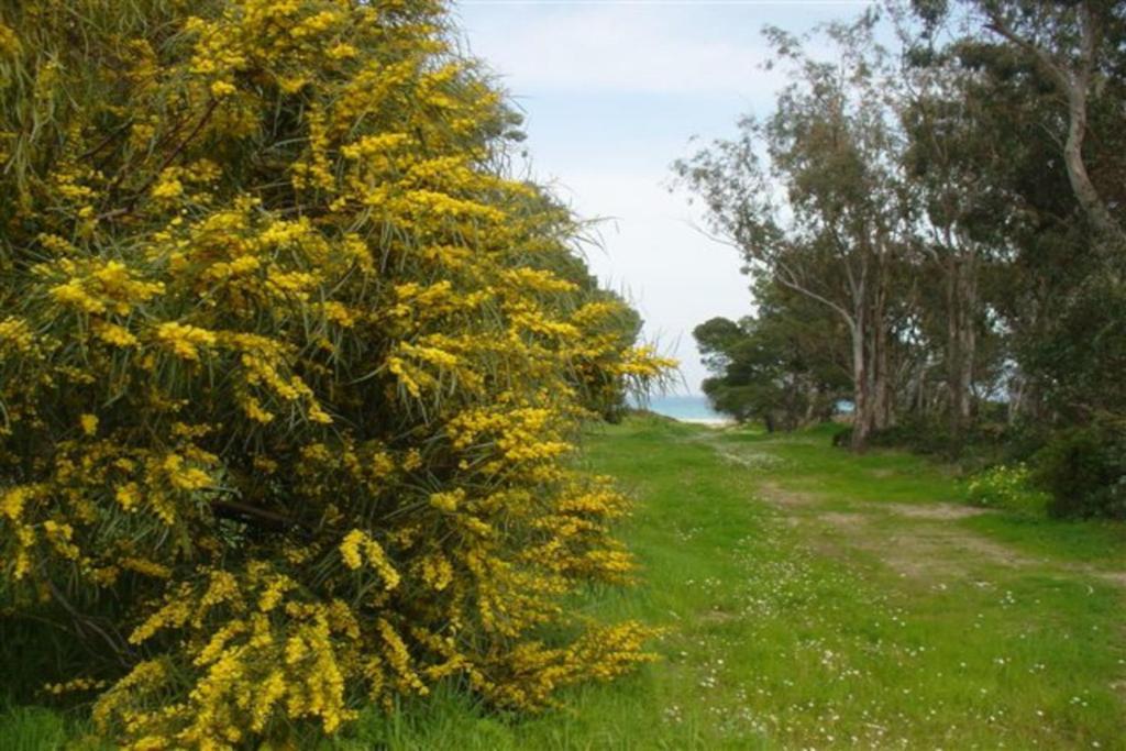 Casa A 300Mt.Dal Mare Calasinzias, 6 Letti, Ac, Pets Welcome, Wi-Fi Free Cala Sinzias 외부 사진